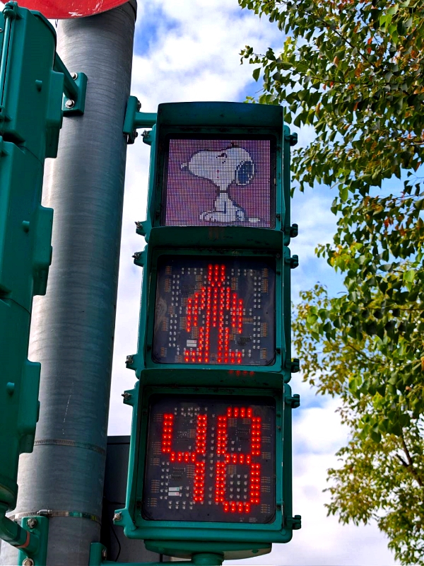 台中出現超萌史努比家族,還有史努比小綠人可愛爆擊! 台中出現超萌史努比家族,還有史努比小綠人可愛爆擊!