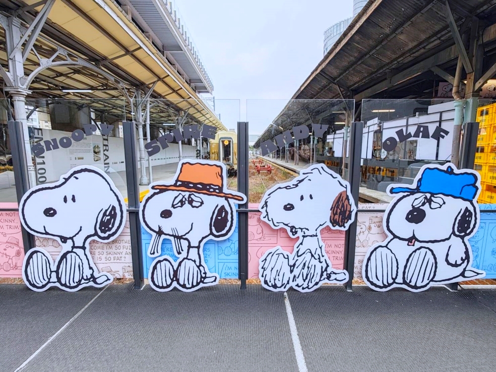 台中出現超萌史努比家族,還有史努比小綠人可愛爆擊! 台中出現超萌史努比家族,還有史努比小綠人可愛爆擊!