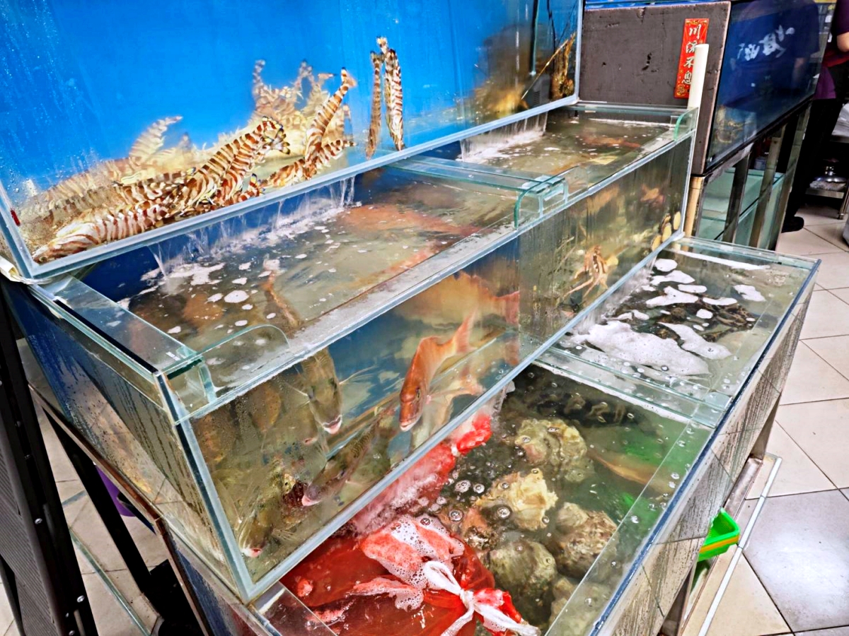 海旺角海鮮大排檔 熱炒平均300元,南屯聚餐餐廳有包廂 海旺角海鮮大排檔 熱炒平均300元,南屯聚餐餐廳有包廂