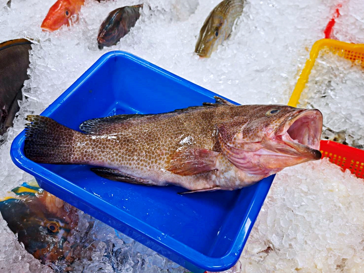 海旺角海鮮大排檔 熱炒平均300元,南屯聚餐餐廳有包廂 海旺角海鮮大排檔 熱炒平均300元,南屯聚餐餐廳有包廂
