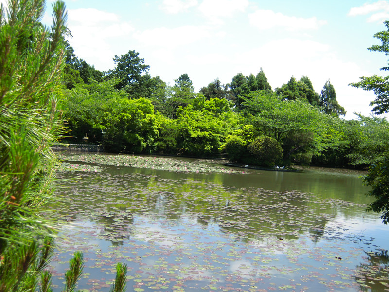 龍安寺-1.jpg