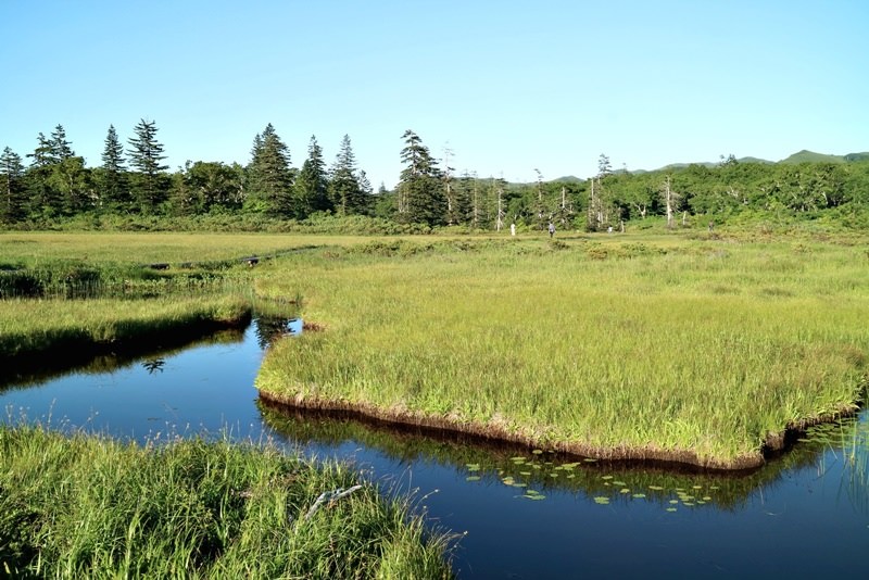 日本北海道 | 神仙沼最美高地溼地秘境 根本世外桃源