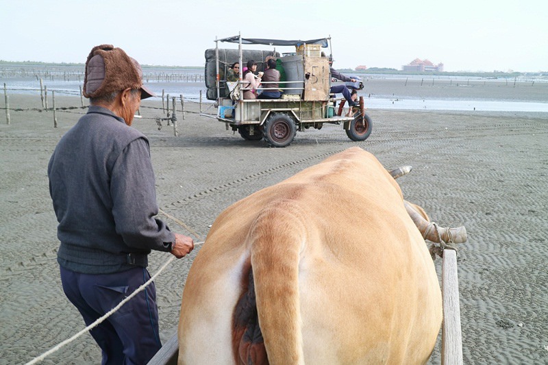 彰化一日小旅行 | 海牛採蚵野餐 普天宮進香 蕭師傅吃花生 百寶村買特產 好充實的一天