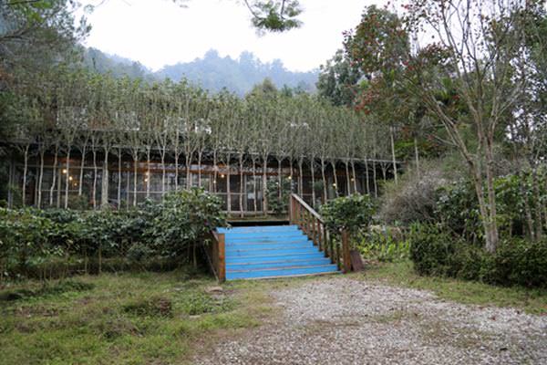 南投。國姓。咖啡 | 結蘆在人境 而無車馬喧 咖啡有樂町 懷谷咖啡